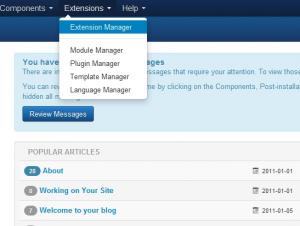 Click on Extensions >> Extension Manager
